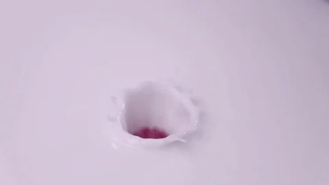 Raspberries falling into milk in slow motion. Raspberry falls into Yogurt in Stock Footage 79050582