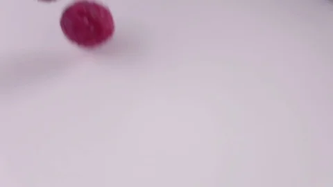 Raspberries falling into milk in slow motion. Raspberry falls into Yogurt in Stock Footage 79050600