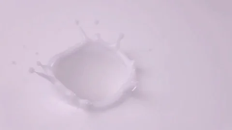 Raspberries falling into milk in slow motion. Raspberry falls into Yogurt in Stock Footage 79050645