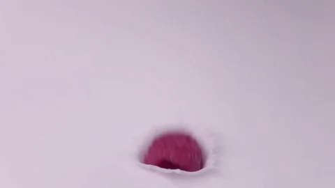 Raspberries falling into milk in slow motion. Raspberry falls into Yogurt in Stock Footage 79050665