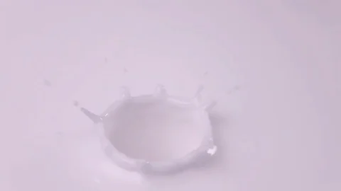 Raspberries falling into milk in slow motion. Raspberry falls into Yogurt in Stock Footage 79050670