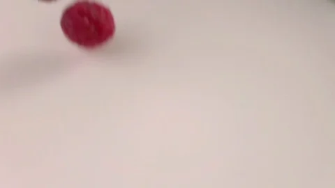 Raspberries falling into milk in slow motion. Raspberry falls into Yogurt in Stock Footage 79050673