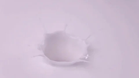 Raspberries falling into milk in slow motion. Raspberry falls into Yogurt in Stock Footage 79050681