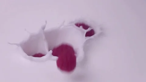 Raspberries falling into milk in slow motion. Raspberry falls into Yogurt in Stock Footage
