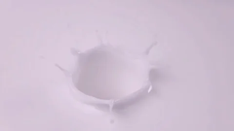 Raspberries falling into milk in slow motion. Raspberry falls into Yogurt in Stock Footage 79050708