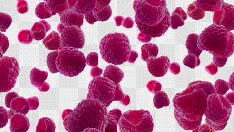 Raspberries Falling on White Background ... | Stock Video | Pond5