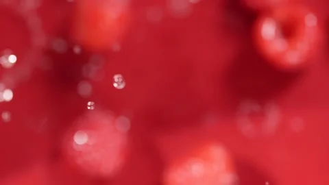 Raspberries flying up Stock Footage 309034363
