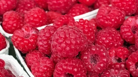 Raspberries Focusing In with Camera Stock Footage 122937394