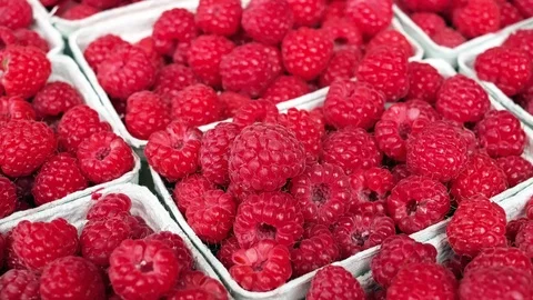 Raspberries Focusing Out with Camera Stock Footage 122937385