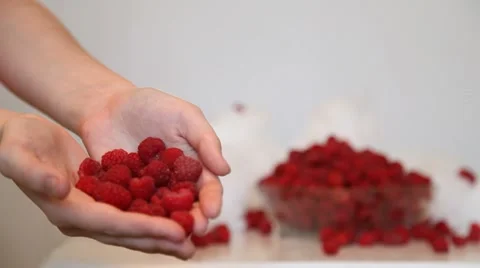 Raspberries Stock Footage 11692287