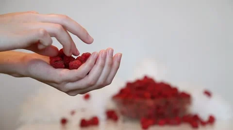 Raspberries Stock Footage 11692340
