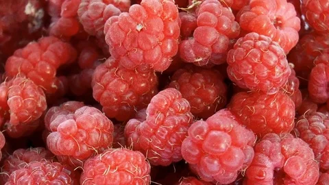 Raspberries Stock Footage 78302735