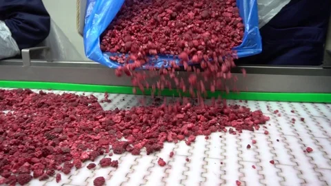 Raspberries Stock Footage 114568299