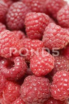 Raspberries (Full-Frame)