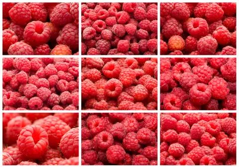 Raspberries Stock Illustration