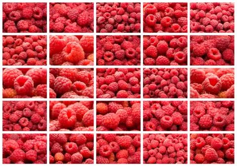 Raspberries Stock Illustration
