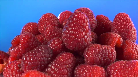Raspberries isolated rotating on blue background Stock Footage 62392831