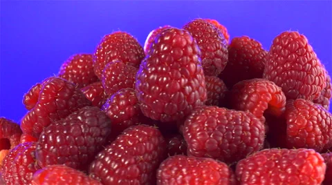 Raspberries isolated rotating on purple background Stock Footage 62393397