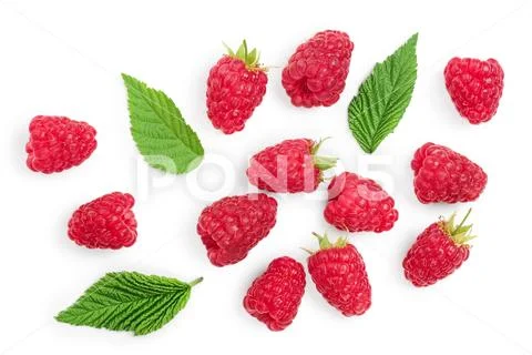 Raspberries with leaves isolated on white background. Top view. Flat lay Stock Photos