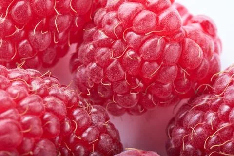 Raspberries macro background texture. Closeup top view. Selective focus. Stock Photos