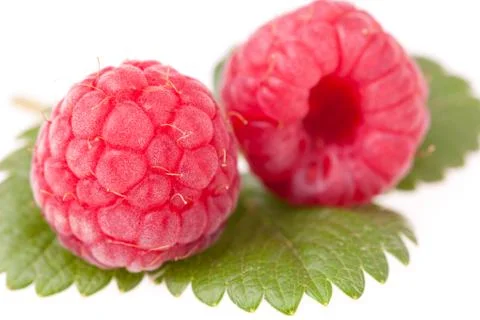 Raspberries macro Фото