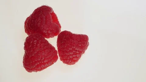 Raspberries Motion On White Background Stock Footage 73515875