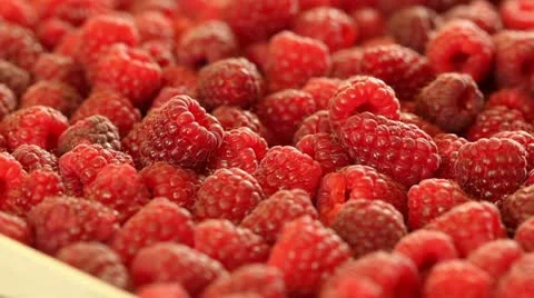 Raspberries pan right Video stock 11370516