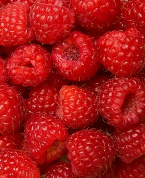 Raspberries Stock Photos