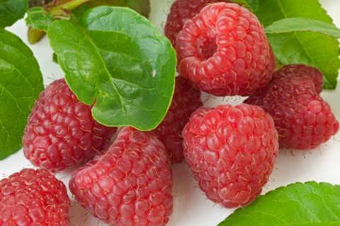 Raspberries Stock Photos