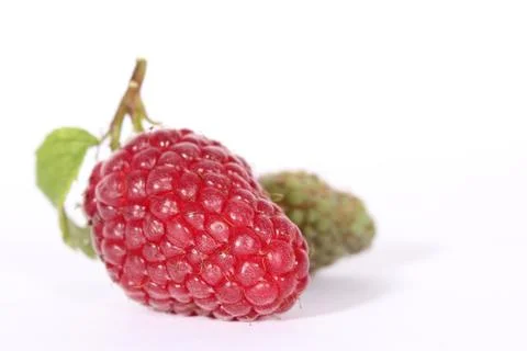 Raspberries Stock Photos