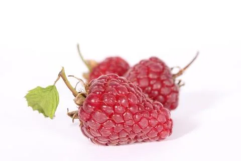 Raspberries Stock Photos