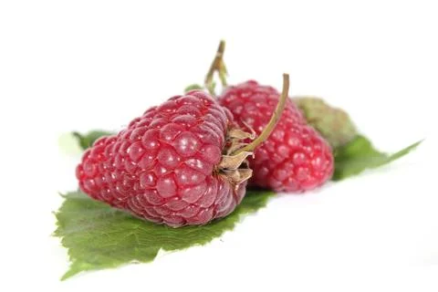 Raspberries Stock Photos