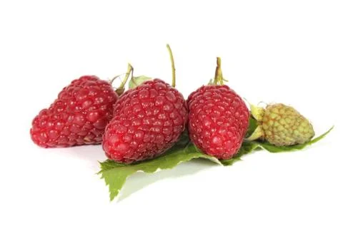 Raspberries Stock Photos