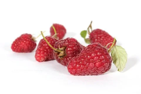 Raspberries Stock Photos