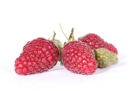 Raspberries Stock Photos
