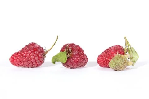Raspberries Stock Photos