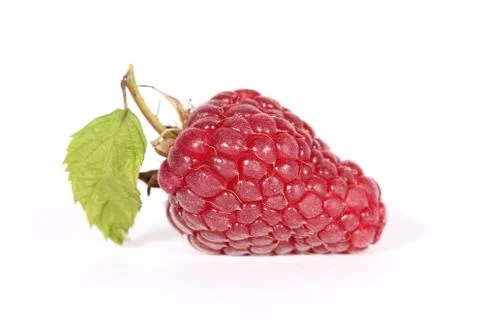 Raspberries Stock Photos