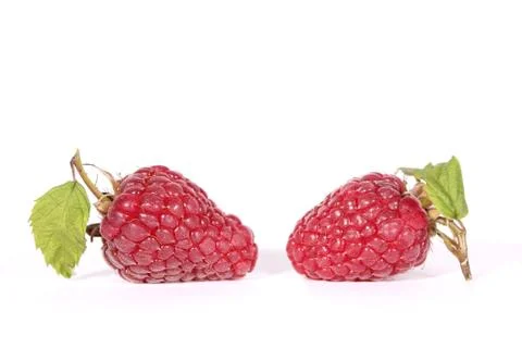 Raspberries Stock Photos