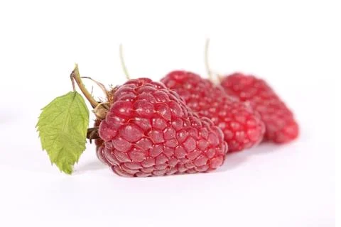 Raspberries Stock Photos