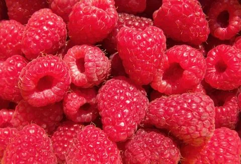 Raspberries Stock Photos