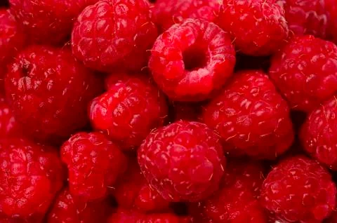 Raspberries Stock Photos