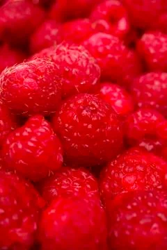 Raspberries Stock Photos