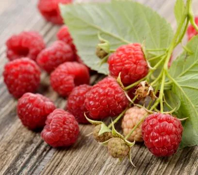 Raspberries Stock Photos