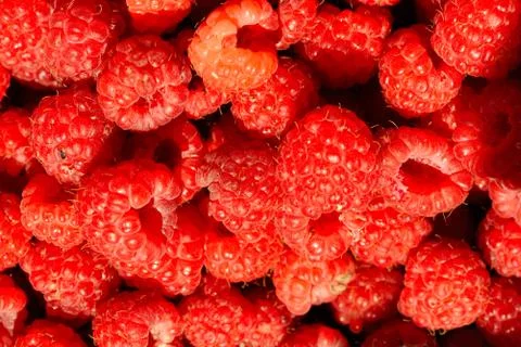 Raspberries Foto stock