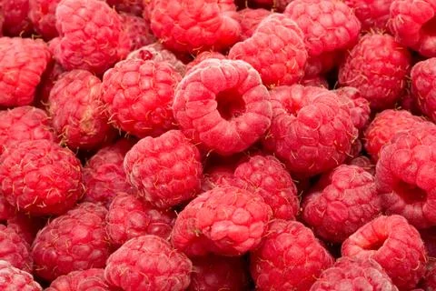 Raspberries Stock Photos