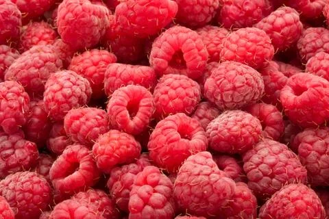 Raspberries Stock Photos