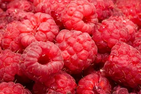 Raspberries Stock Photos