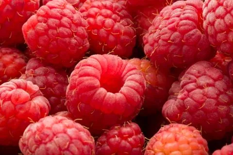 Raspberries Stock Photos