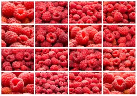 Raspberries Stock Photos