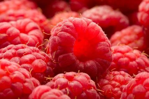 Raspberries Stock Photos